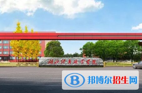 湖北體育職業(yè)學(xué)院?jiǎn)握性趺礃樱? width=