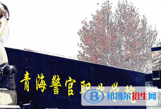 青海政法類大學(xué)有哪些？(附名單)
