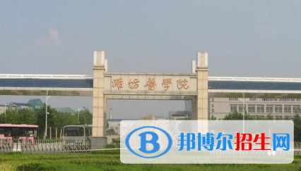 濰坊醫(yī)學(xué)院是不是雙一流大學(xué)？