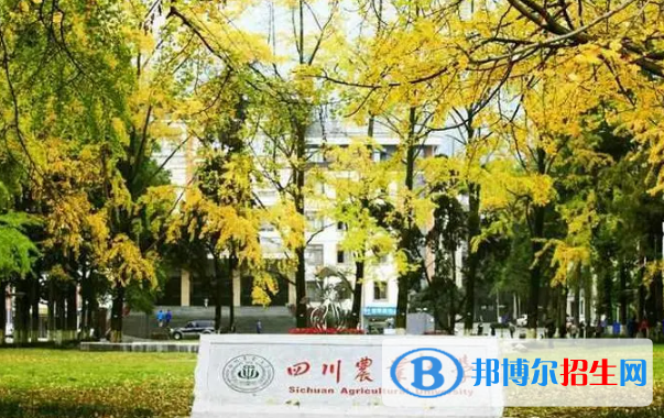 四川農業(yè)大學有哪些中外合作辦學專業(yè)?(附名單)