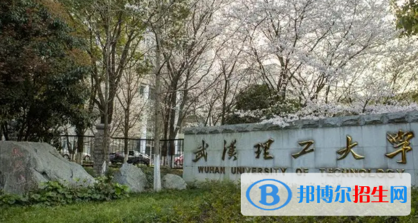 武漢理工大學(xué)有哪些中外合作辦學(xué)專業(yè)?(附名單)