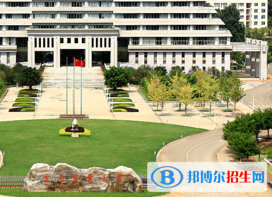 云南農林類大學有哪些？(附名單)