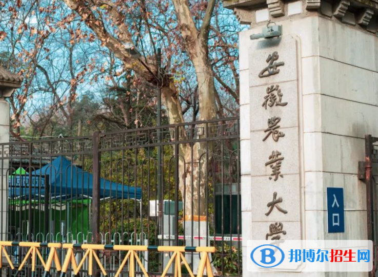 安徽農林類大學有哪些？(附名單)