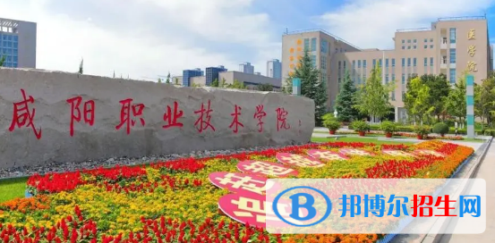 咸陽(yáng)職業(yè)技術(shù)學(xué)院有哪些中外合作辦學(xué)專業(yè)?(附名單)