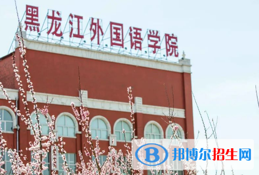 黑龍江外國語學院是不是985大學?