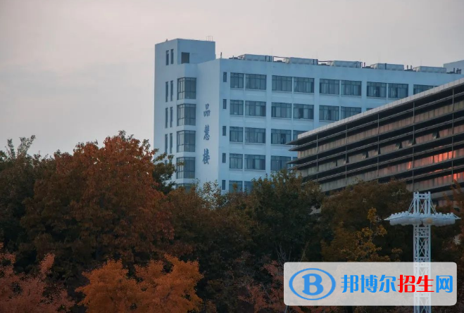 山東省大學(xué)排名2022最新排名：軟科、校友會最新版完整排名一覽