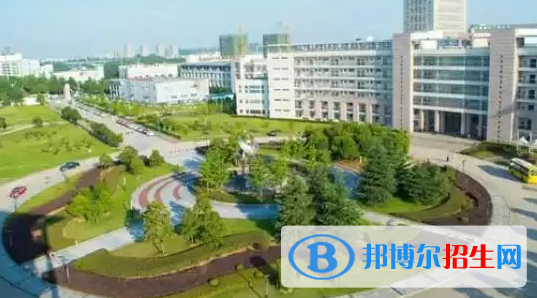 武漢職業(yè)技術(shù)學(xué)院有哪些中外合作辦學(xué)專業(yè)?(附名單)