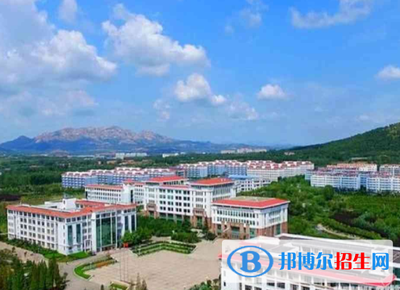 山東外國語職業(yè)技術(shù)大學(xué)是不是雙一流大學(xué)？