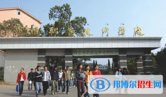 綿陽職業(yè)技術(shù)學(xué)院有哪些中外合作辦學(xué)專業(yè)?(附名單)