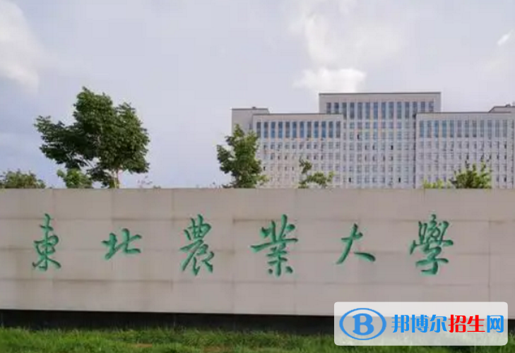 東北農(nóng)業(yè)大學(xué)是不是985大學(xué)？
