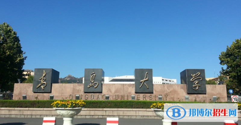 青島大學(xué)有哪些中外合作辦學(xué)專業(yè)？（附名單）