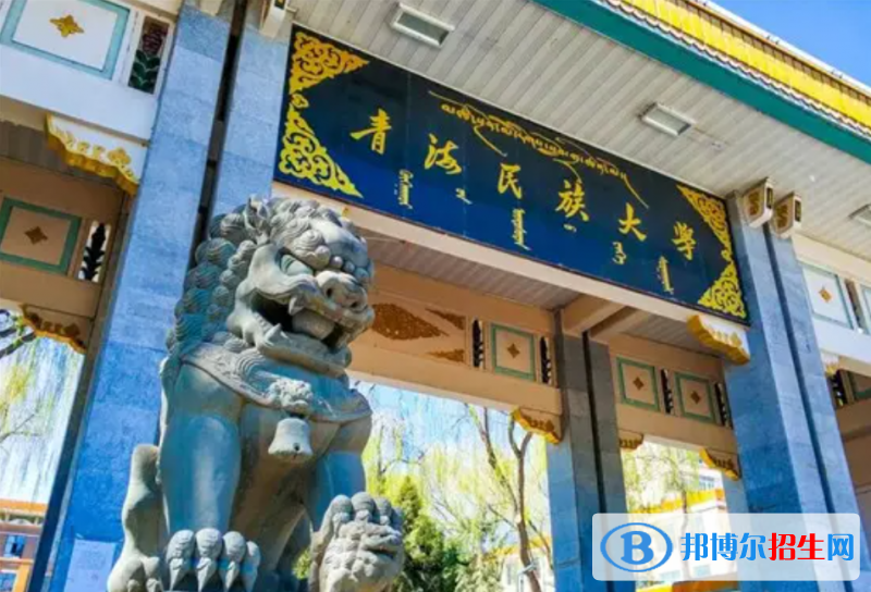 青海民族大學有哪些中外合作辦學專業(yè)？（附名單）