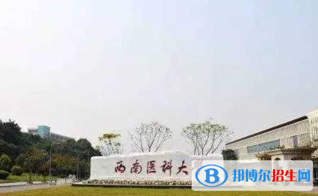 西南醫(yī)科大學(xué)王牌(重點(diǎn))專業(yè)有哪些?