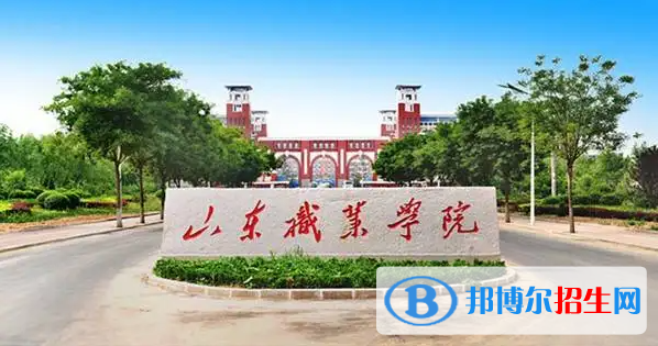 山東職業(yè)學(xué)院有哪些中外合作辦學(xué)專業(yè)？（附名單）