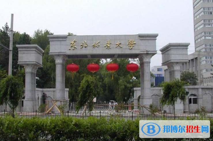 東北林業(yè)大學(xué)是不是雙一流大學(xué)？ 