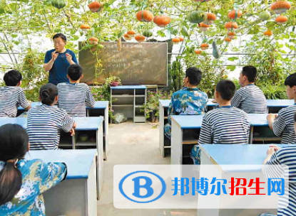 四川省農(nóng)業(yè)廣播電視學(xué)校2023年有哪些專業(yè)