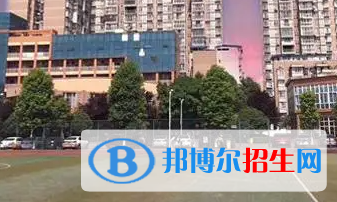 成都市特殊教育中等職業(yè)技術(shù)學(xué)校2023年招生計劃