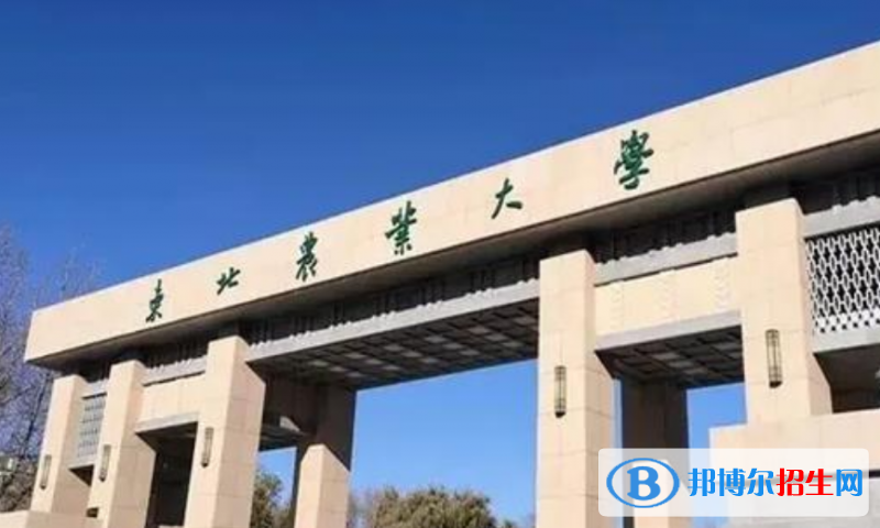 東北農(nóng)業(yè)大學(xué)是幾本？是985和211嗎？