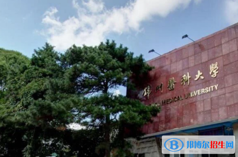 錦州醫(yī)科大學(xué)是幾本？是985和211嗎？