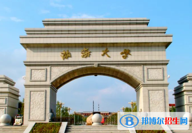 2023年渤海大學(xué)藝術(shù)類(lèi)專(zhuān)業(yè)招生簡(jiǎn)章