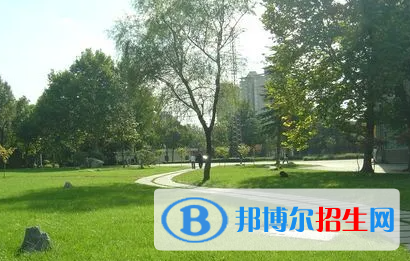 高考滿(mǎn)分作文：天空中最亮的那顆星光（3篇）