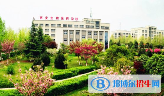 2023陜西職業(yè)學校有哪些  陜西職業(yè)學校名單一覽表