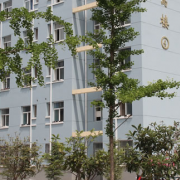 渭南市軌道交通運(yùn)輸高級技工學(xué)校