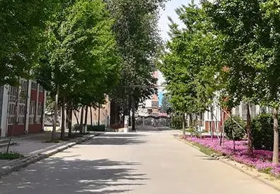2023新鄉(xiāng)市紅旗區(qū)職業(yè)教育中心招生計劃 招生人數(shù)是多少(附要求、條件、對象)