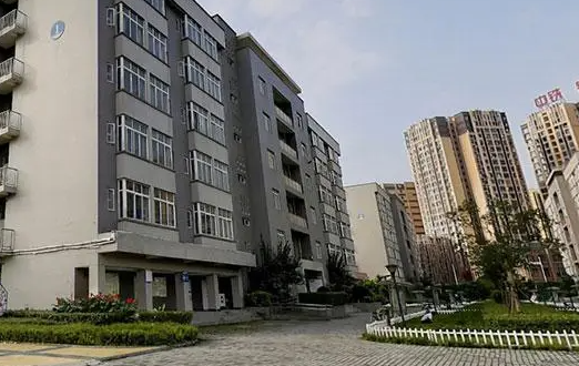 2023年成都金海洋創(chuàng)意產(chǎn)業(yè)職業(yè)技術(shù)學(xué)校開設(shè)的專業(yè)一覽表