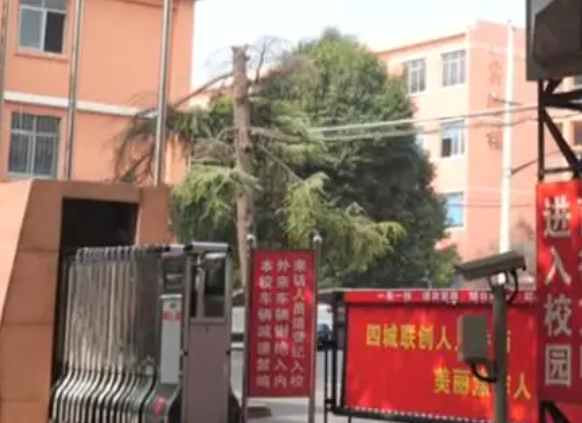 2023焦作衛(wèi)生醫(yī)藥學(xué)校招生計(jì)劃 招生人數(shù)是多少(附要求、條件、對(duì)象)