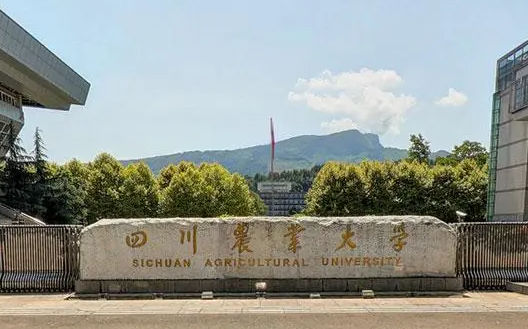 哈爾濱體育學(xué)院和四川農(nóng)業(yè)大學(xué)怎么選？哪個(gè)好？附全國排名和分?jǐn)?shù)線