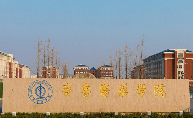 對外經(jīng)濟(jì)貿(mào)易大學(xué)和齊魯醫(yī)藥學(xué)院怎么選？哪個好？附分?jǐn)?shù)線