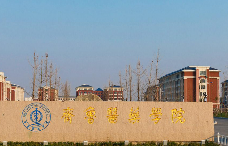 揚(yáng)州大學(xué)和齊魯醫(yī)藥學(xué)院怎么選？哪個(gè)好？附分?jǐn)?shù)線