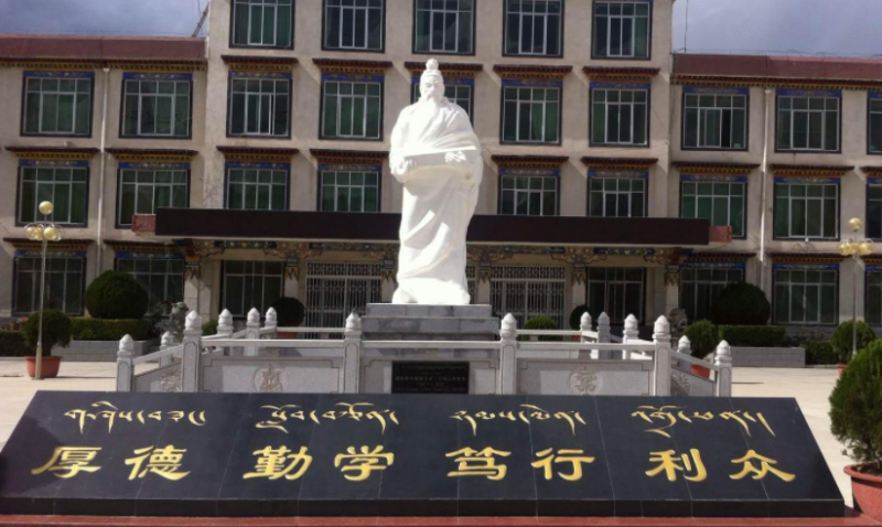 江蘇大學和西藏藏醫(yī)藥大學怎么選？哪個好？附全國排名
