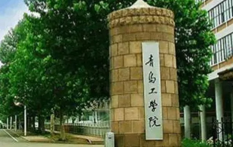 山西大學(xué)和青島工學(xué)院怎么選？哪個(gè)好？附分?jǐn)?shù)線
