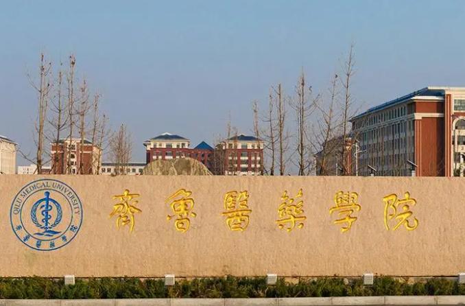 齊魯工業(yè)大學(xué)和齊魯醫(yī)藥學(xué)院怎么選？哪個好？附分?jǐn)?shù)線