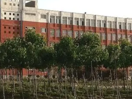2023周口市聯(lián)營職業(yè)中等專業(yè)學校招生計劃 招生人數(shù)是多少(附要求、條件、對象)