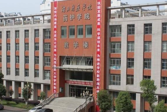 廣東工業(yè)大學(xué)和湖北醫(yī)藥學(xué)院藥護學(xué)院怎么選？哪個好？附分?jǐn)?shù)線