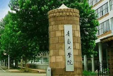 河南科技大學和青島工學院怎么選？哪個好？附分數(shù)線
