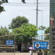 桂平市藝術學校