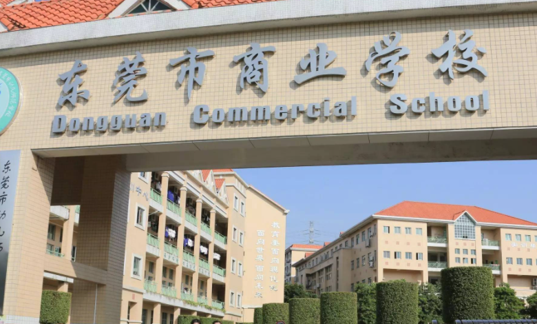 2023東莞公辦電子商務(wù)學(xué)校有哪些 東莞公辦電子商務(wù)學(xué)校名單一覽表