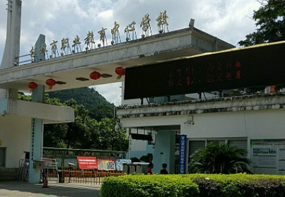2023永福縣職業(yè)教育中心招生計劃 招生人數(shù)是多少(附要求、條件、對象)