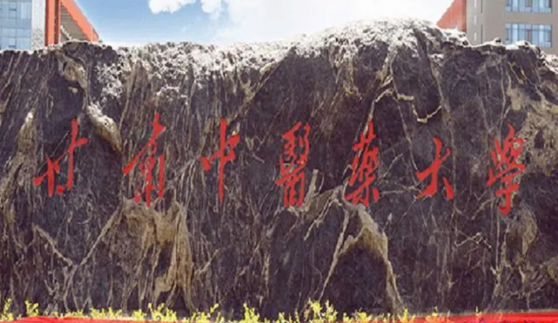 甘肅中醫(yī)藥大學(xué)什么專業(yè)好，甘肅中醫(yī)藥大學(xué)專業(yè)排名