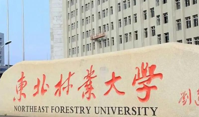 東北林業(yè)大學(xué)什么專業(yè)好，東北林業(yè)大學(xué)專業(yè)排名