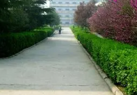 2023焦作民辦機(jī)電學(xué)校有哪些 焦作民辦機(jī)電學(xué)校名單一覽表
