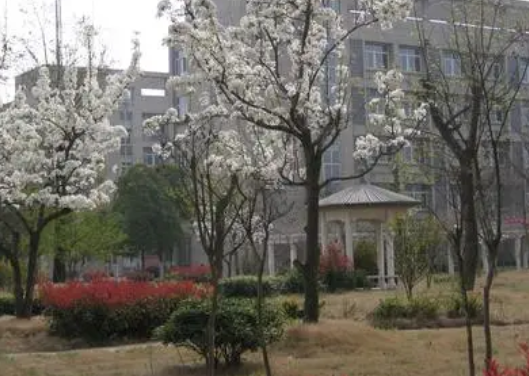 2024宿遷烹飪學(xué)校有哪些 宿遷烹飪學(xué)校名單一覽表