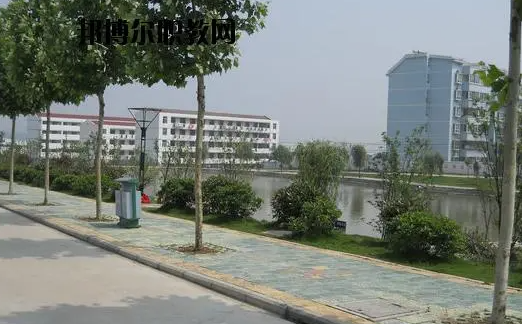 2024合肥新能源汽車學校有哪些 合肥新能源汽車學校名單一覽表