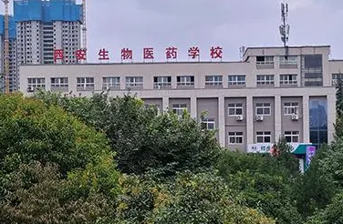 2023陜西公辦護理學校有哪些 陜西公辦護理學校名單一覽表