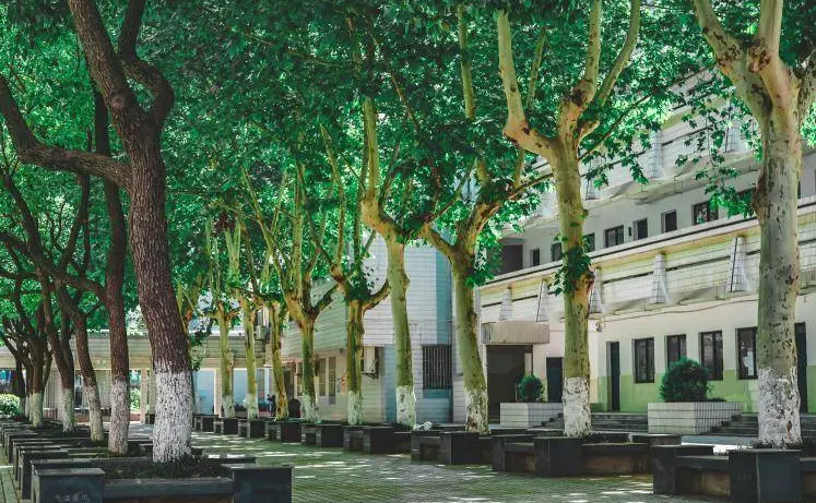 2023南京市第六十六中學招生計劃 招生人數(shù)是多少(附要求、條件、對象)