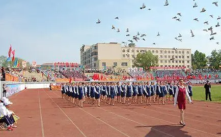2024鶴崗護理學校有哪些 鶴崗護理學校名單一覽表